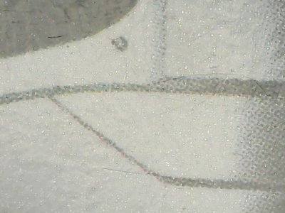 SN37791
