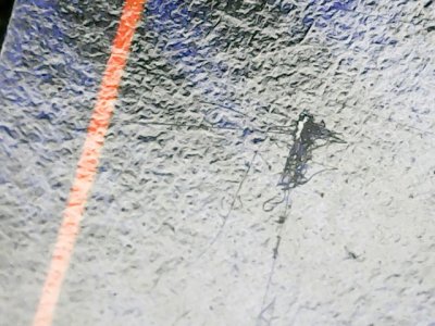SN37793