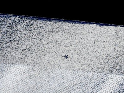 SN37795