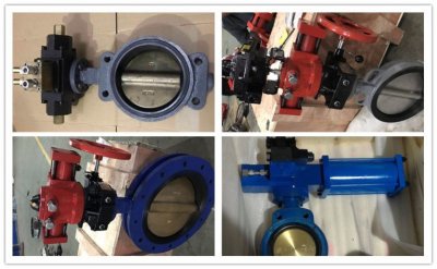 Valve , Control Valve and Actuator