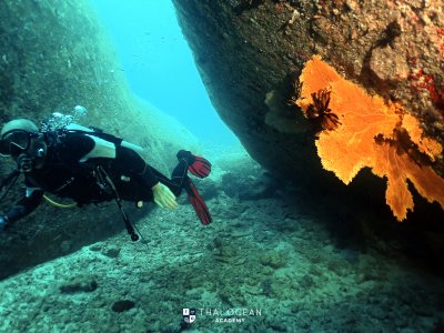 Christmas Liveaboard - Mariner Bunnak Dec 21-26 2022