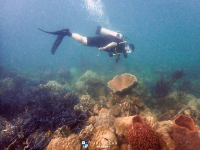 ทริปเกาะช้าง วันหยุดสงกรานต์ เดือน เมษายน 2022