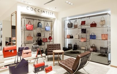 Coccinelle