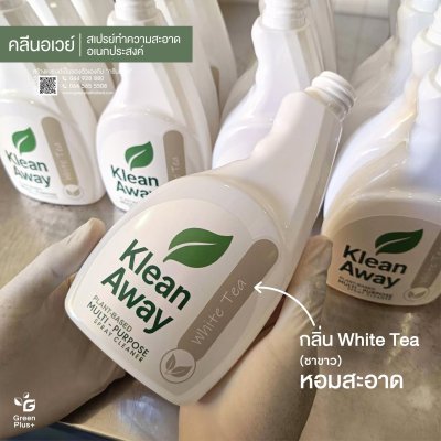 KLEANAWAY MULTI-PURPOSE SPRAY CLEANER