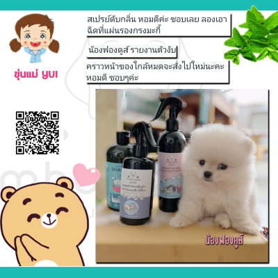 รีวิว