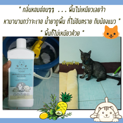รีวิว