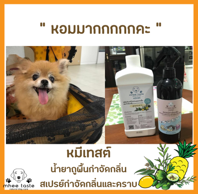 รีวิว