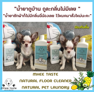 รีวิว