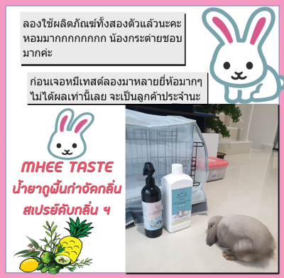 รีวิว