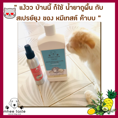รีวิว