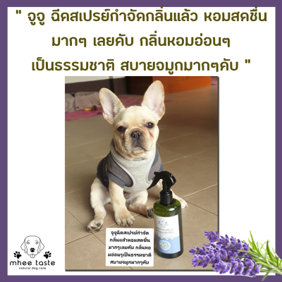 รีวิว