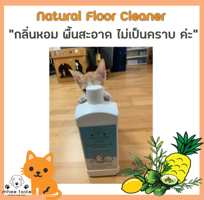 รีวิว