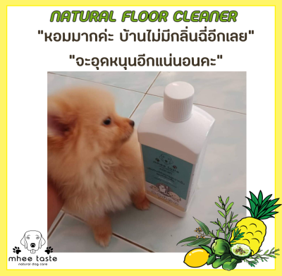 รีวิว