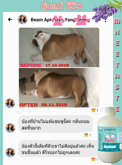 รีวิว