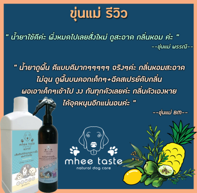 รีวิว2