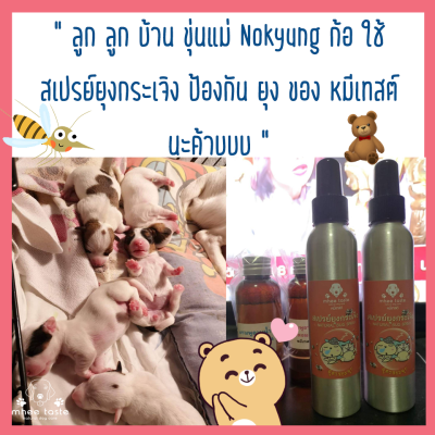 รีวิว2
