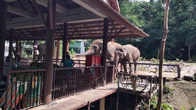 เช่ารถตู้เที่ยวทั่วไทย