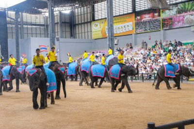 พิธีแสดงกตเวทิตาจิตแด่ผู้เกษียณอายุประจำปีบัญชี 2567 