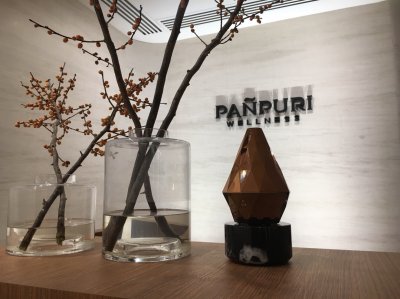 PROJECT : Panpuri Wellness Retreat and Onsen