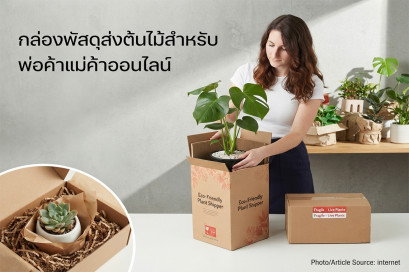 กล่องพัสดุส่งต้นไม้สำหรับพ่อค้าแม่ค้าออนไลน์