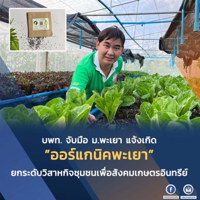 “ม.พะเยา” ร่วมมือกับชุมชนเดินหน้าปั้นบริษัท ออร์แกนิคพะเยา สู่การเป็นวิสาหกิจเพื่อสังคม เล็งเพิ่มช่องทางการขาย และแปรรูปเพิ่มมูลค่าสินค้า เน้นสร้างกลไกผู้นำท้องถิ่นสร้างเกษตรอินทรีย์พะเยาให้เข้มแข็ง