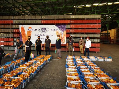 คณะเกษตร ม.พะเยา ร่วมทดสอบผลผลิตข้าวโพดลูกผสม ผลักดันและส่งเสริมผลผลิตข้าวโพดพื้นที่ของภาคเหนือตอนบน  