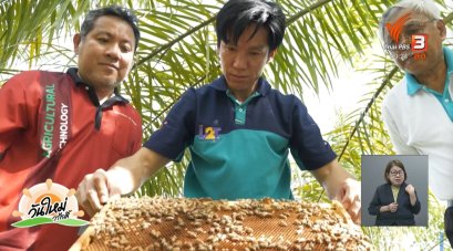 พัฒนาผลิตภัณฑ์ "อาหารเกสรเทียมหมักสำหรับผึ้งพันธุ์" เพิ่มคุณค่าทางอาหารและช่วยเพิ่มประสิทธิภาพการเลี้ยงผึ้ง ด้วยต้นทุนต่ำ
