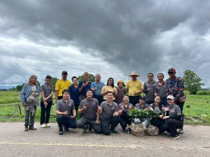 Robusta Coffee Planting Activity to Promote Quality Production in Lowland Areas