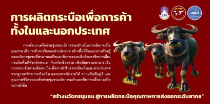 การผลิตกระบือเพื่อการค้า ทั้งในและนอกประเทศ ขับเคลื่อนด้วยนวัตกรรมชุมชน ยกระดับเศรษฐกิจฐานรากสู่สากล