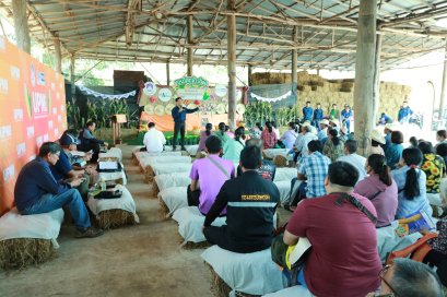 Field Day @UP 2025 "High-Quality Forage Corn Cultivation and Commercial Seed Production" School of Agriculture and Natural Resources, University of Phayao.