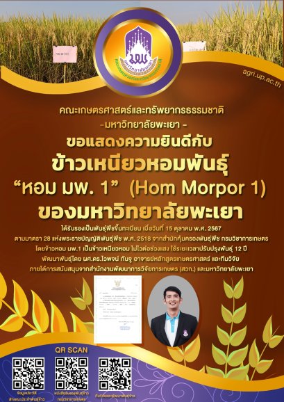 School of Agriculture and Natural Resources at the University of Phayao proudly congratulates the success of "Hom Morpor 1," a fragrant glutinous rice variety developed by the university, which has officially been registered as a certified plant