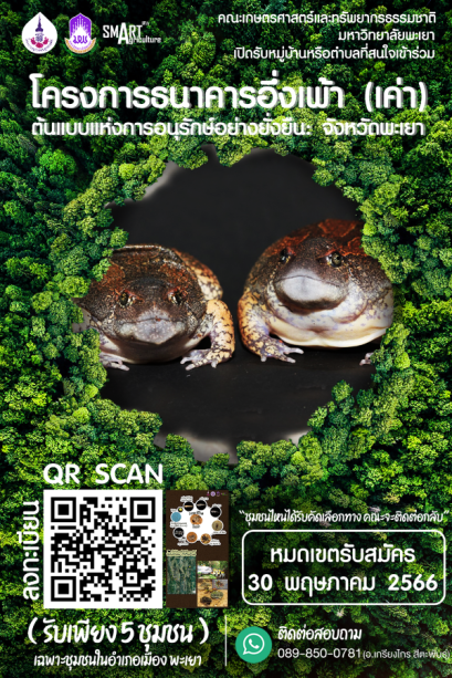 ( เปิดรับหมู่บ้านหรือตำบลที่สนใจเข้าร่วม ) "โครงการธนาคารอึ่งเพ้า (เค่า) ต้นแบบแห่งการอนุรักษ์อย่างยั่งยืน จังหวัดพะเยา" ( รับเพียง 5 ชุมชน เฉพาะชุมชนในอำเภอเมือง ) หมดเขตลงทะเบียน 30 พ.ค. 2566 นี้