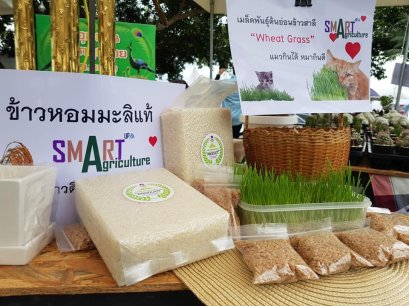 คณะเกษตรศาสตร์ฯ ร่วมจัดกิจกรรมออกบูธในงาน " ล้าลาลอย " จำหน่ายและแสดงโชว์ผลิตภัณฑ์ของคณะ และของนิสิตคณะเกษตรศาสตร์ฯ 