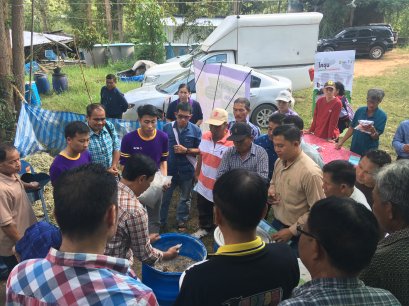 นิสิตคณะเกษตรศาสตร์และทรัพยากรธรรมชาติ มหาวิทยาลัยพะเยา (ทีมต้นกล้ากลางดอย) รวมสมาชิกระหว่างสาขาเกษตรศาสตร์ สัตวศาสตร์ และ เทคโนโลยีชีวภาพ ได้ดำเนินโครงการ “ภูแลประชารัฐรวมใจ ลดต้นทุนการเลี้ยงโคไทยสู่ครัวโลก” ในโครงการกล้าใหม่ใฝ่รู้ ปีที่ 13 นวัตกรรมสร้าง