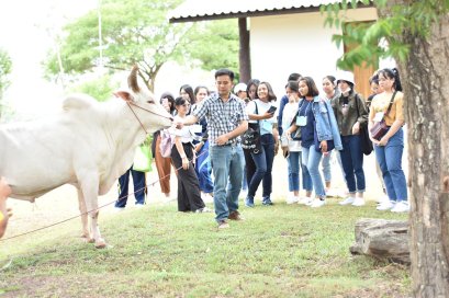  คณะเกษตรศาสตร์และทรัพยากรธรรมชาติ ม.พะเยา จัดกิจกรรม " สืบสานภูมิปัญญาและวัฒนธรรมการเลี้ยงและการคัดเลือกโคเนื้อพื้นเมืองขาวล้านนาของจังหวัดพะเยา "