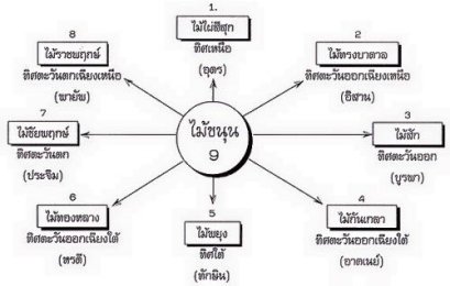 วิธีการตอกไม้มงคล 9 อย่าง