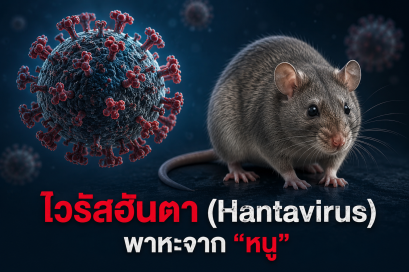 ไวรัสฮันตา (Hantavirus) พาหะจาก "หนู"