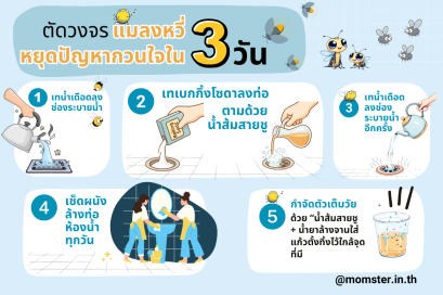 ตัดวงจรแมลงหวี่ หยุดปัญหากวนใจใน 3 วัน