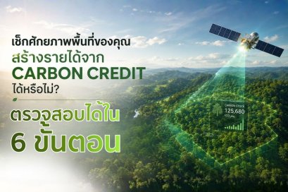 พื้นที่ปลูกต้นไม้ของเรา สร้างรายได้จากคาร์บอนเครดิตได้หรือไม่?