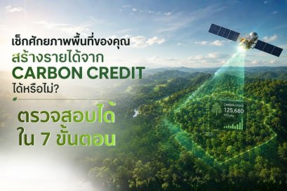 พื้นที่ปลูกต้นไม้ของเรา สร้างรายได้จากคาร์บอนเครดิตได้หรือไม่?