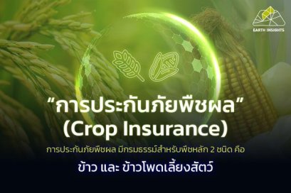 โครงการประกันภัยพืชผล คืออะไร ?