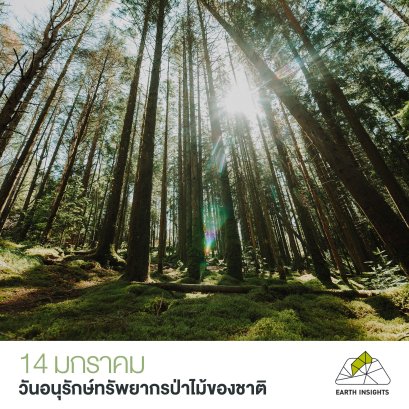 14 มกราคม “วันอนุรักษ์ทรัพยากรป่าไม้ของชาติ”