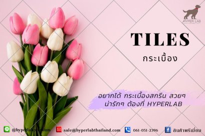 กระเบื้องสกรีน Tiles