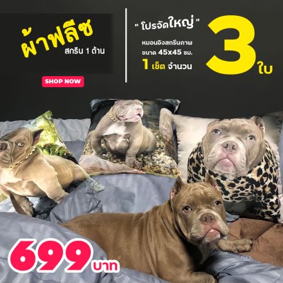 โปรโมชั่น หมอน 3 ใบ เพียง 699 บาท เท่านั้น