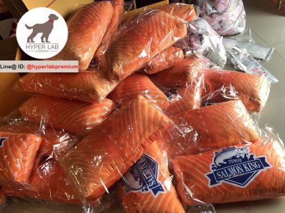 สินค้าพรีเมี่ยม ผลิตและจัดทำหมอนรูปอาหารประเภทต่างๆ สำหรับร้านอาหาร