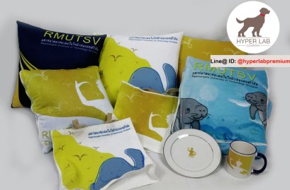 สินค้าพรีเมี่ยม รับทำแก้ว จาน หมอนและกระเป๋า