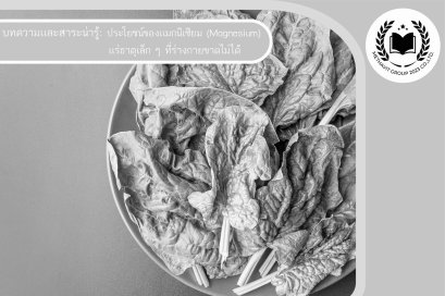 ประโยชน์ของเเมกนีเซียม (Magnesium) เเร่ธาตุเล็ก ๆ ที่ร่างกายขาดไม่ได้