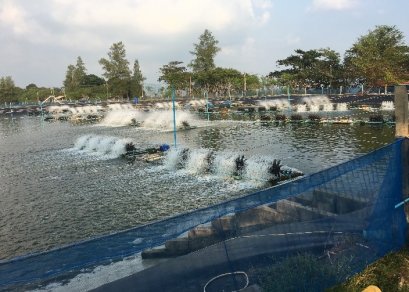 Job Report  ฟาร์ม เฮียปู จังหวัดชุมพร