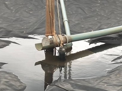 HCP Job Report : ฟาร์มจังหวัดชุมพร