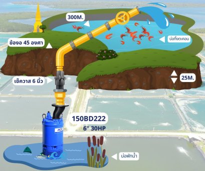 Job Report : ฟาร์มกุ้ง-จังหวัดพังงา